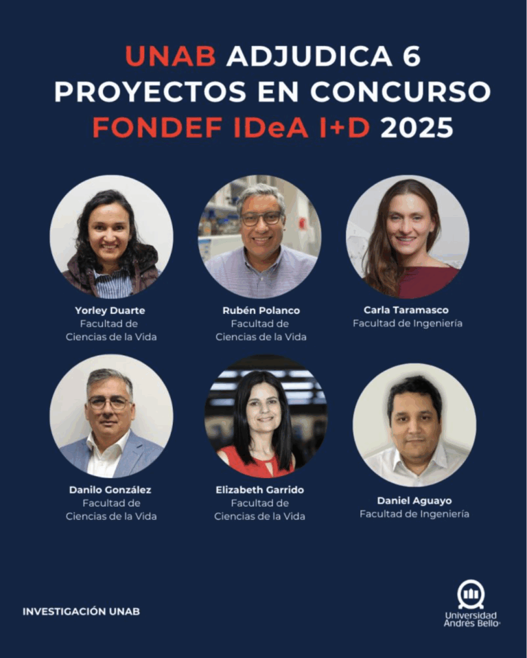 Ganadores concurso FONDEF IDeA I+D 2025